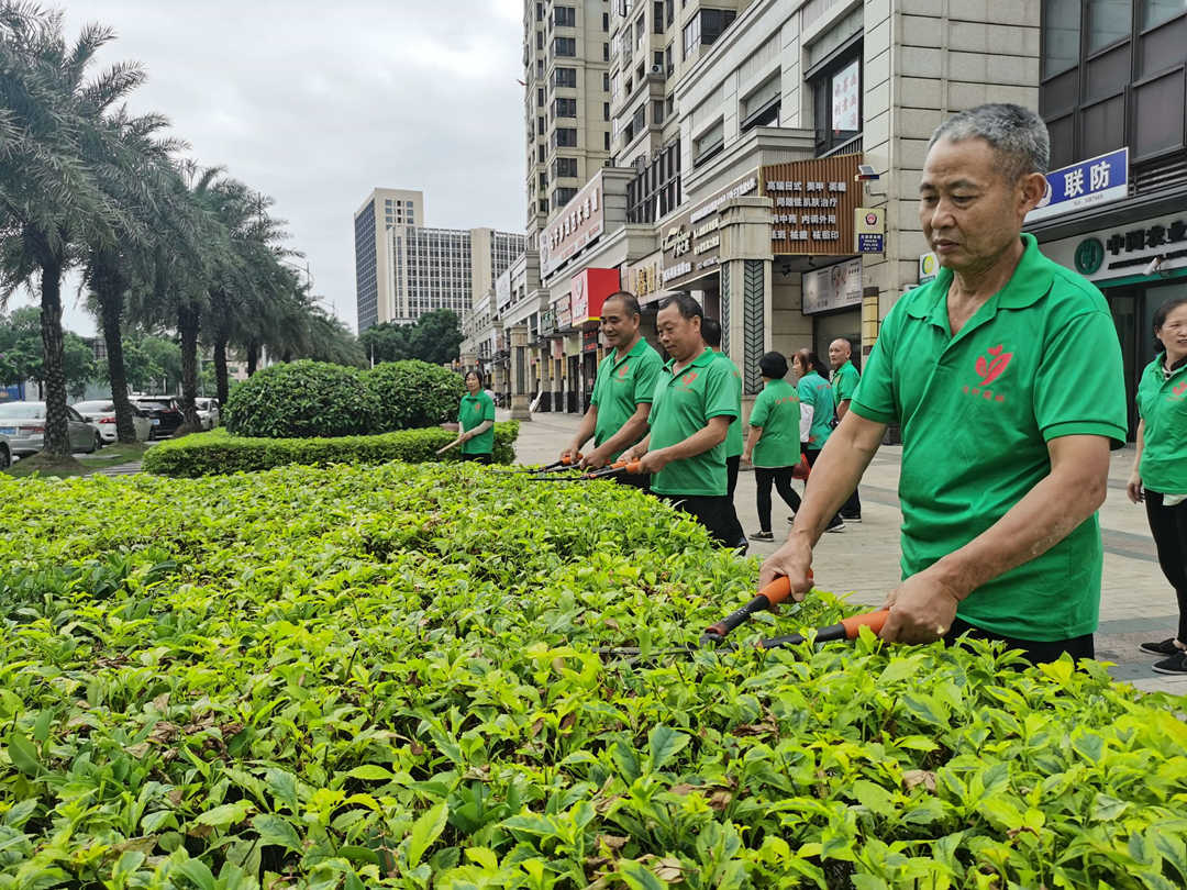 園林綠化公司工人修剪