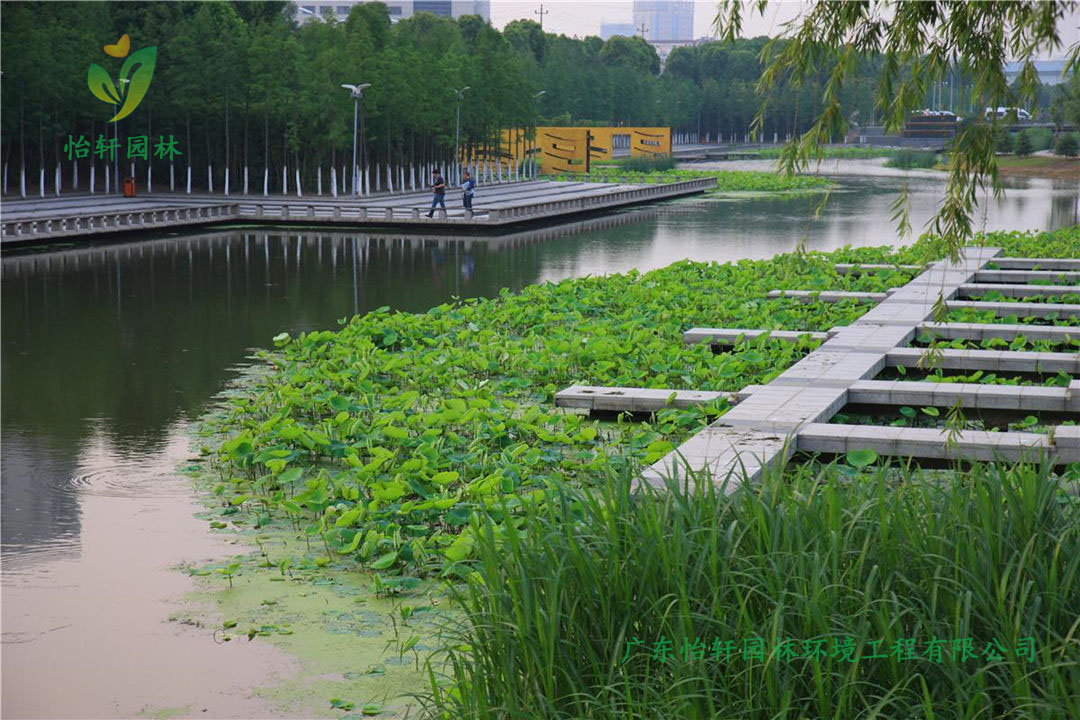 寧波鄞州中心區(qū)河道綠化工程改造案例圖