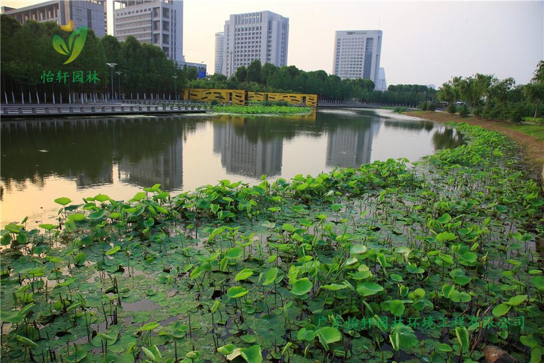 寧波鄞州中心區(qū)河道綠化工程改造案例圖