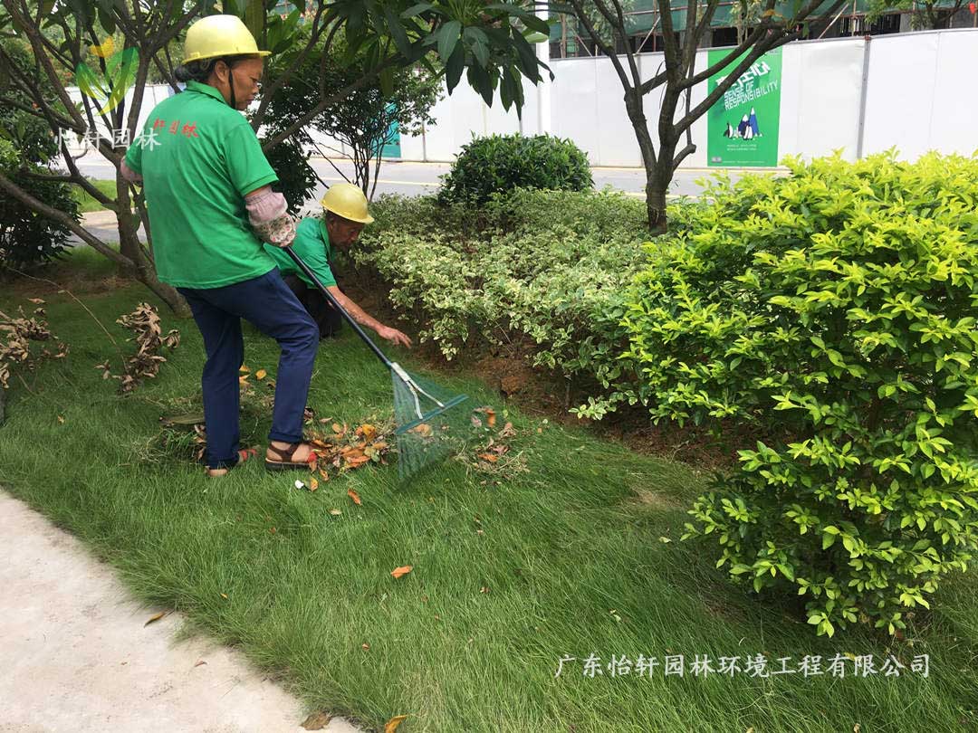 廣州御湖名邸小區(qū)綠化養(yǎng)護