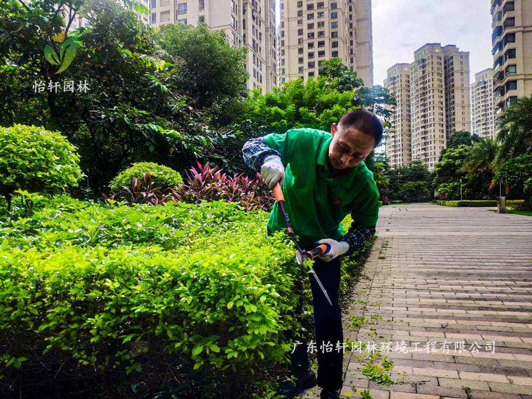 廣州御湖名邸小區(qū)綠化養(yǎng)護