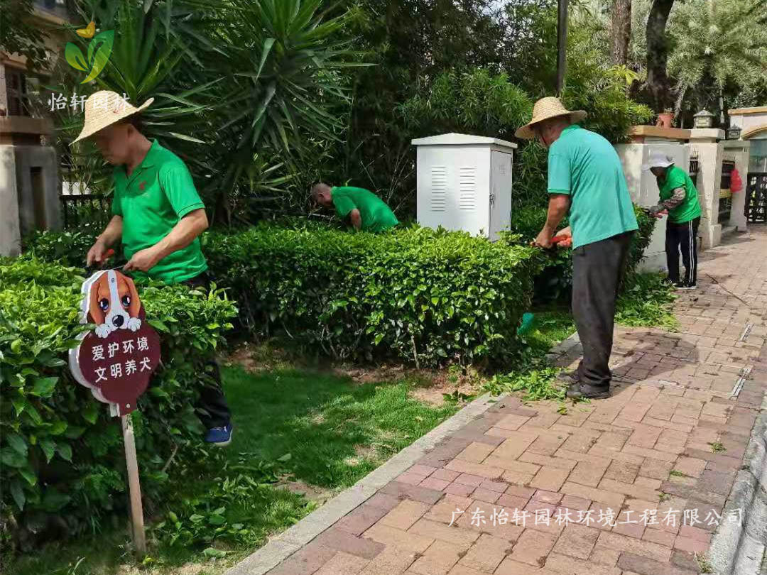 深圳龍華觀湖園別墅小區(qū)綠化養(yǎng)護