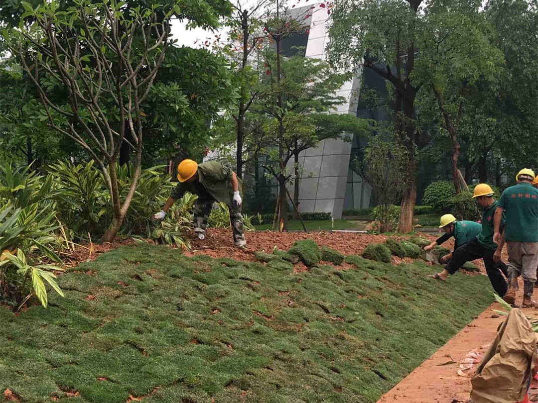 怡軒園林綠化公司十月份綠化養(yǎng)護補植工作