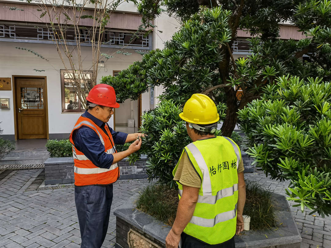 怡軒園林綠化公司李主管講解植物修剪知識