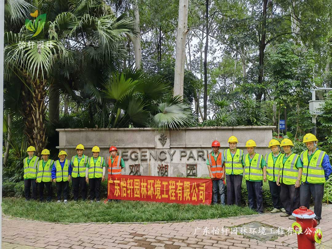 深圳龍華觀湖園別墅小區(qū)綠化養(yǎng)護