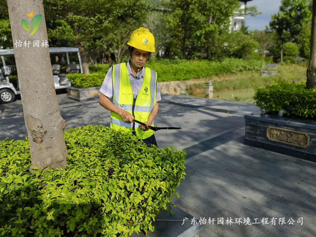 怡軒園林綠化公司養(yǎng)護(hù)人員正在修剪