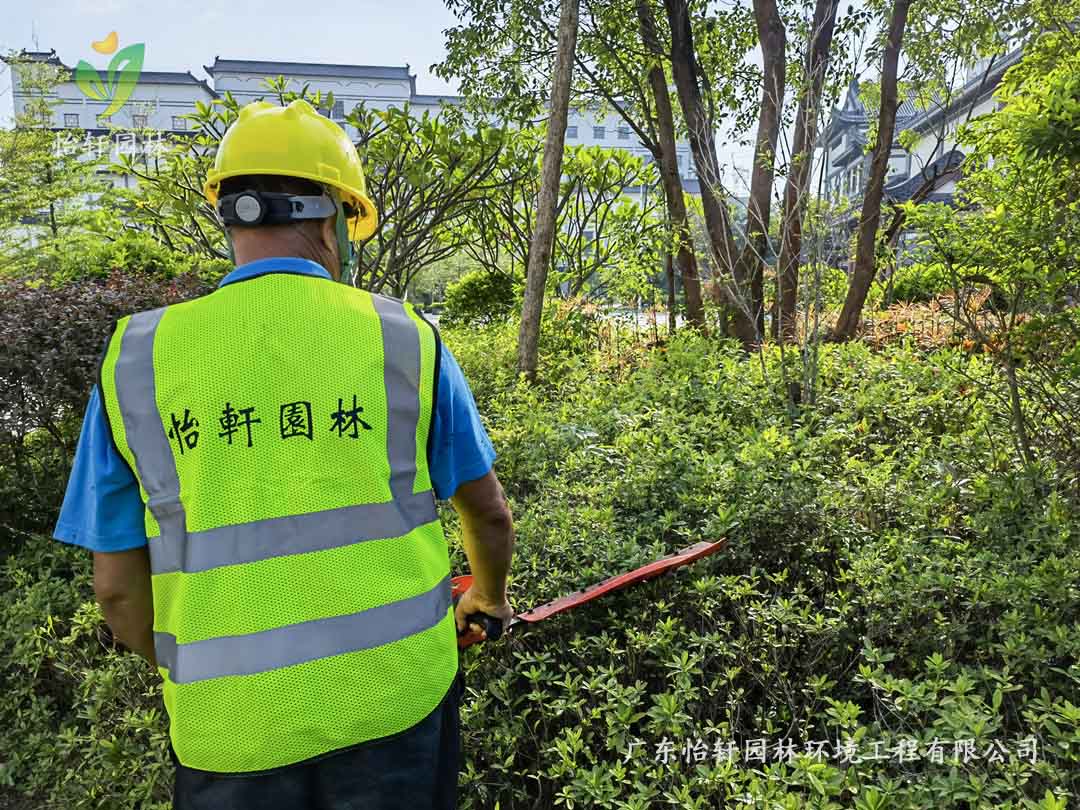 惠州綠色動力廠區(qū)日常養(yǎng)護(hù)工作