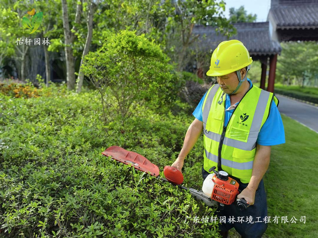 惠州綠色動力廠區(qū)日常養(yǎng)護(hù)工作