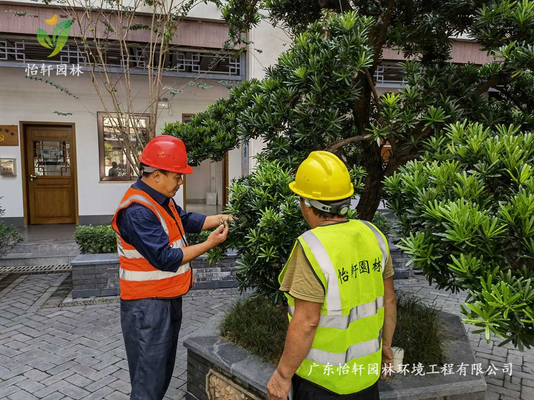 怡軒園林綠化公司廠區(qū)綠化養(yǎng)護(hù)指導(dǎo)工作