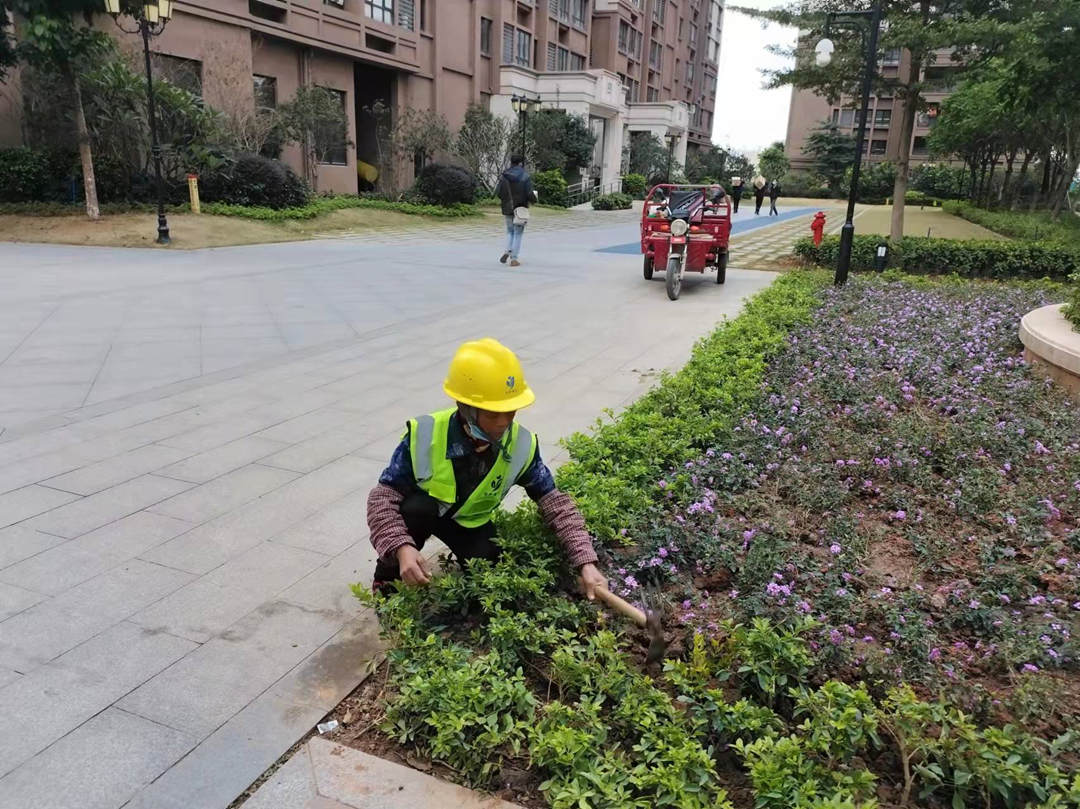 園林綠化公司工人正在補栽植物