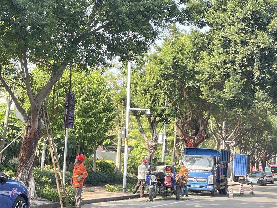 怡軒園林綠化公司工人正在修剪