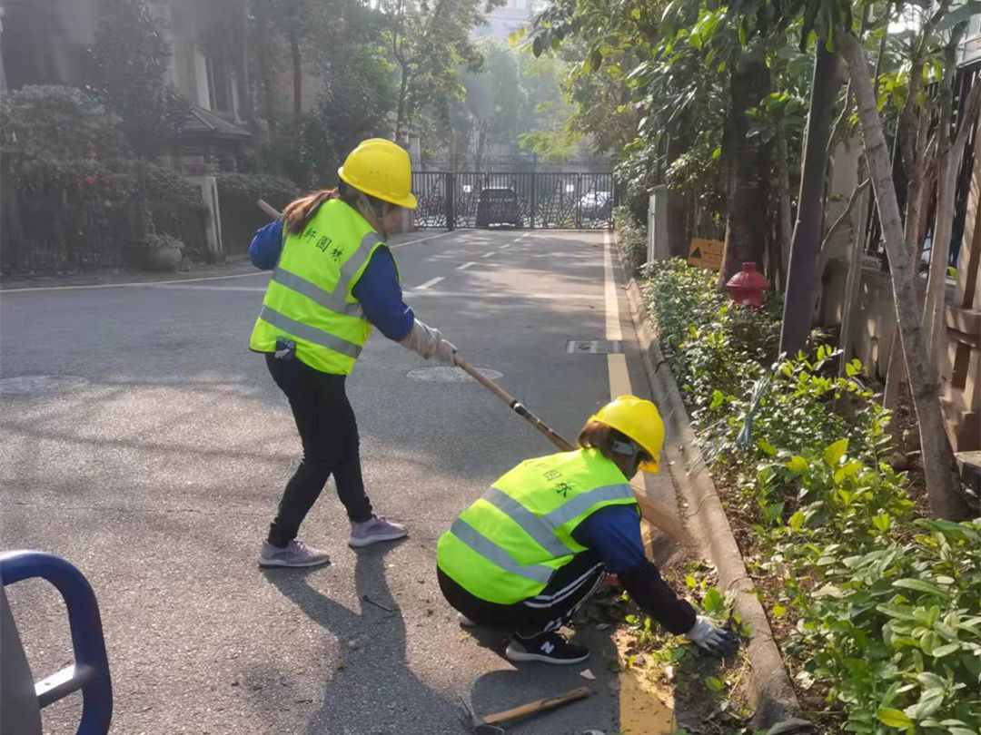 小區(qū)綠化養(yǎng)護清理綠化垃圾