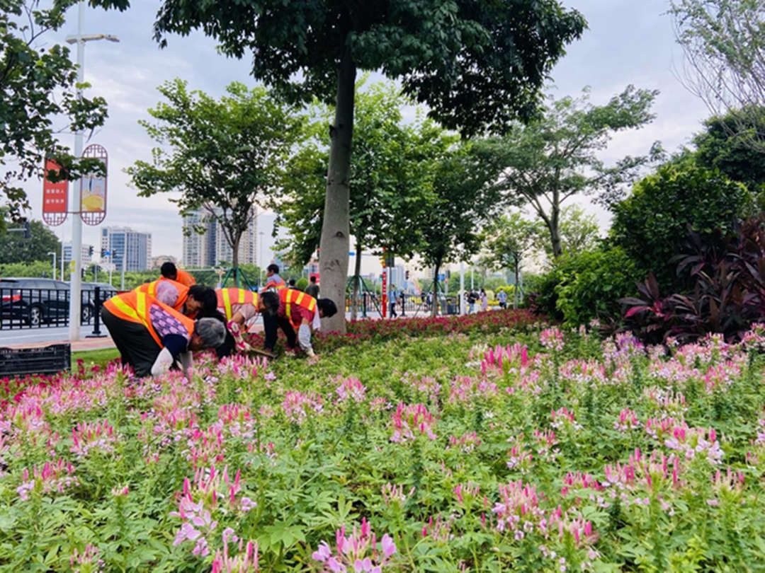 怡軒園林綠化公司工人們正在道路旁的綠地進(jìn)行補(bǔ)栽補(bǔ)植