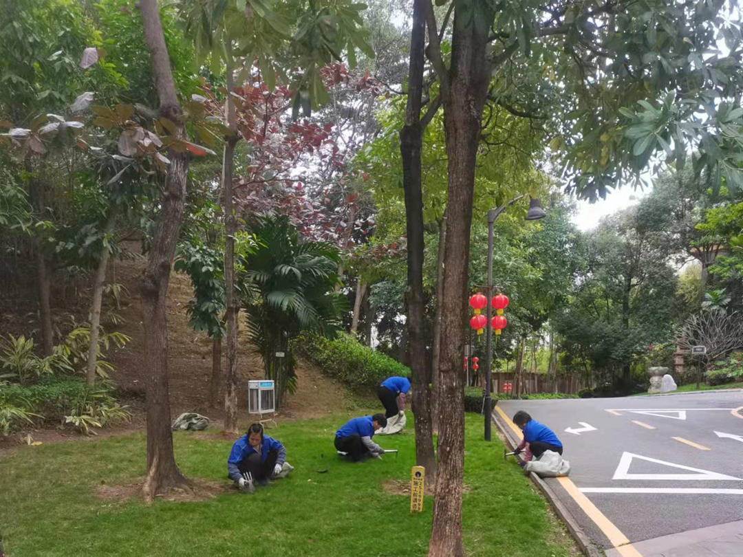 園林綠化養(yǎng)護(hù)工人正在清理雜草