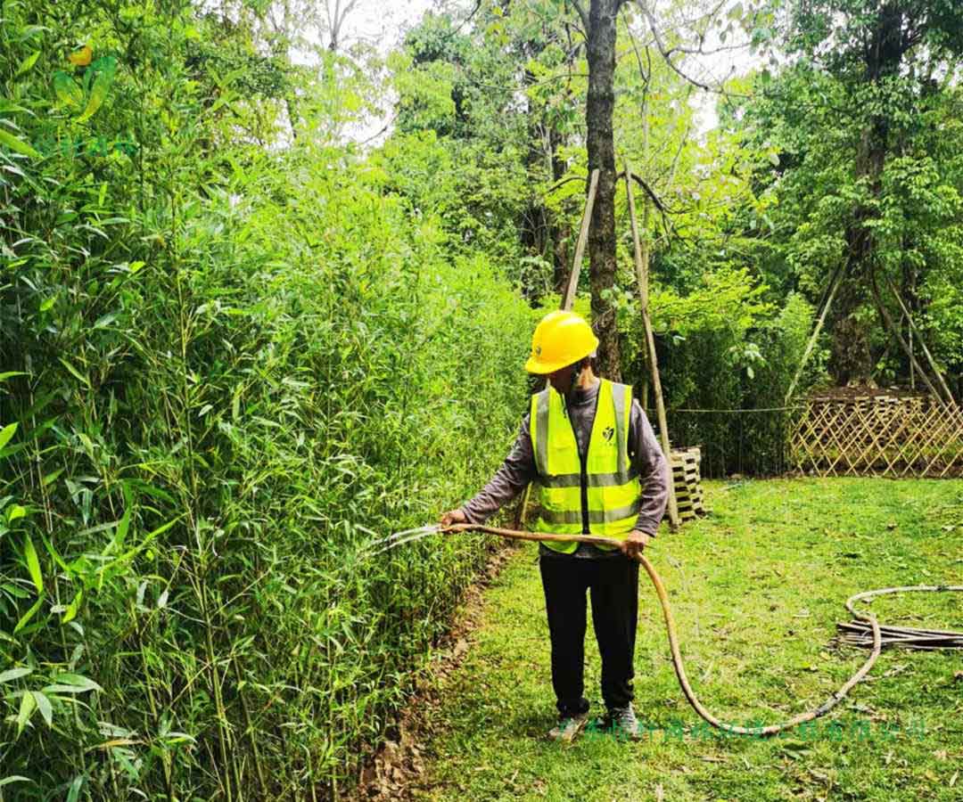 番禺露營基地綠化工程種植完成后澆水