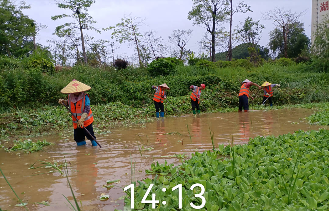 園林綠化養(yǎng)護(hù)防汛排澇