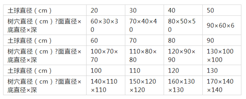 園林綠化工程栽植中樹(shù)木土球具體尺寸