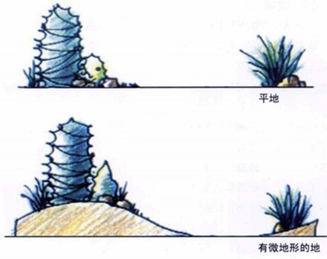 私家庭院園林綠化工程地形設(shè)計