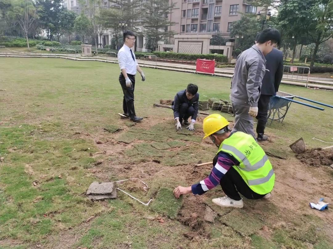 三月份園林綠化養(yǎng)護補植