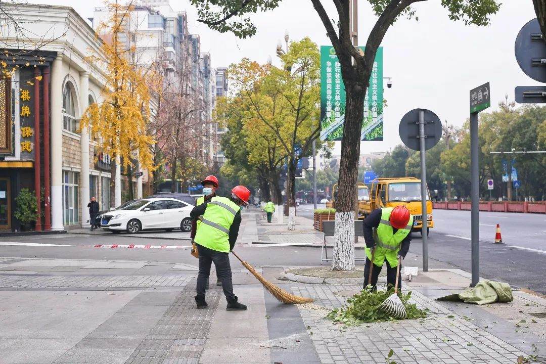 園林綠化養(yǎng)護(hù)清理樹枝