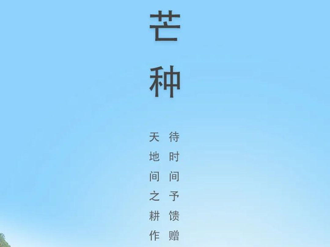 園林綠化公司：芒種