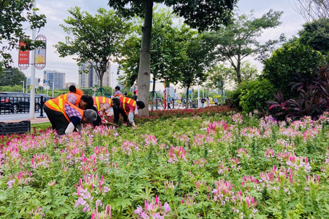 綠化設(shè)計時花的養(yǎng)護(hù)管理