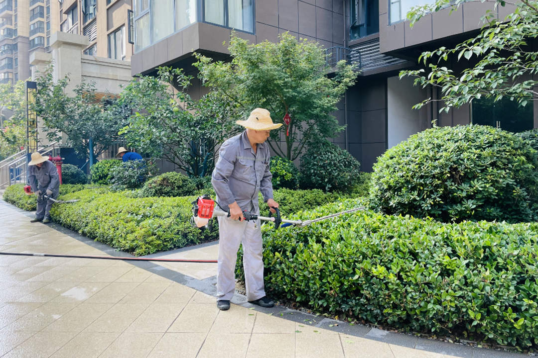 夏季小區(qū)綠化養(yǎng)護(hù)修剪