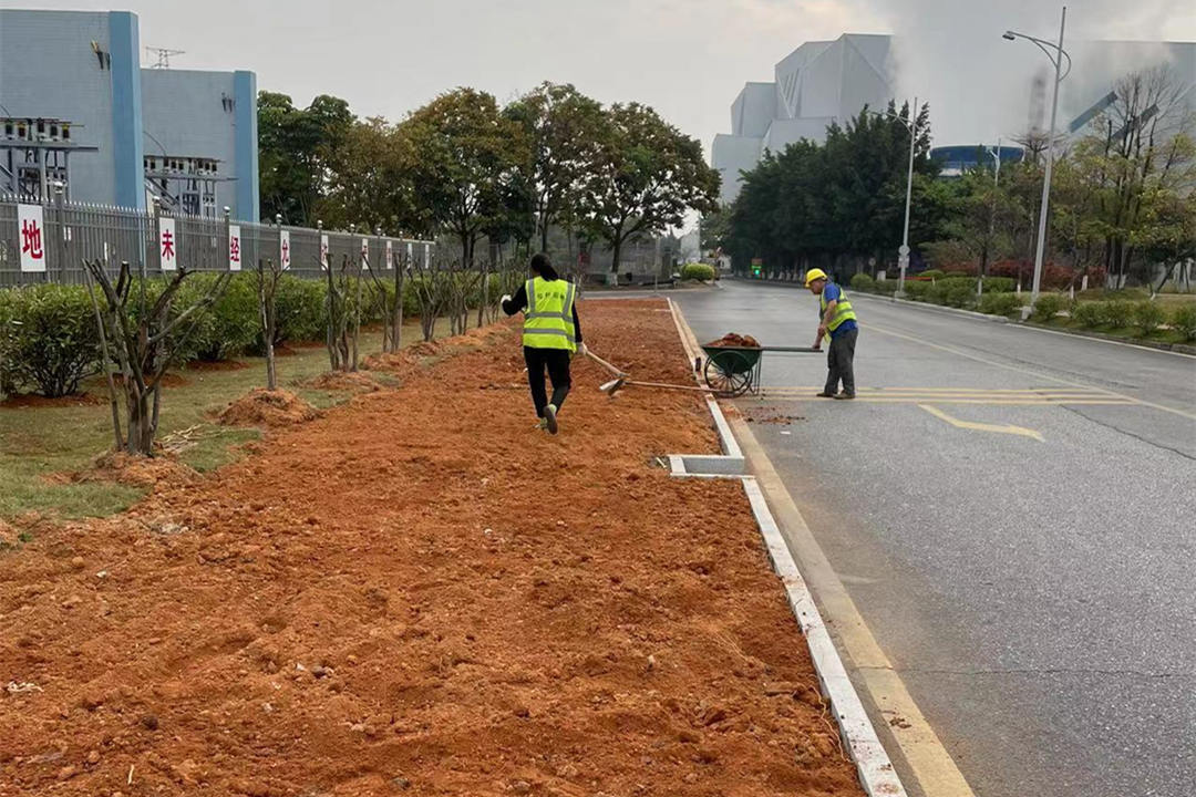 園林綠化工程花卉種植場地平整