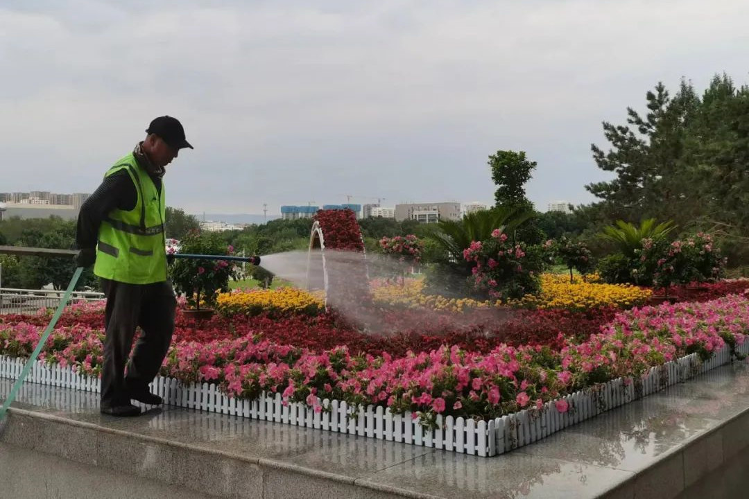 花卉種植后的綠化養(yǎng)護(hù)澆水