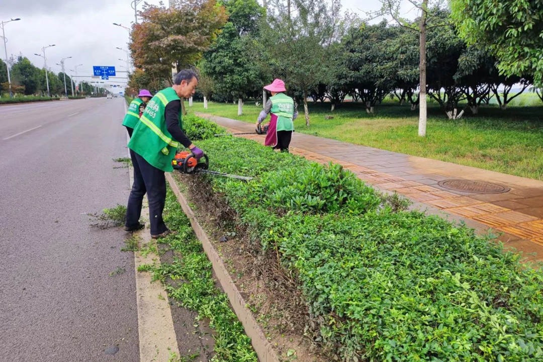 園林綠化養(yǎng)護(hù)修剪