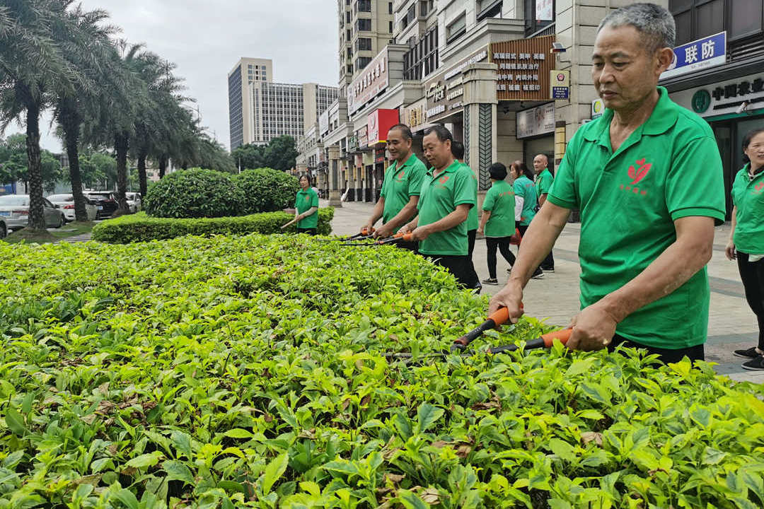 萬達(dá)華府小區(qū)綠化養(yǎng)護(hù)修剪