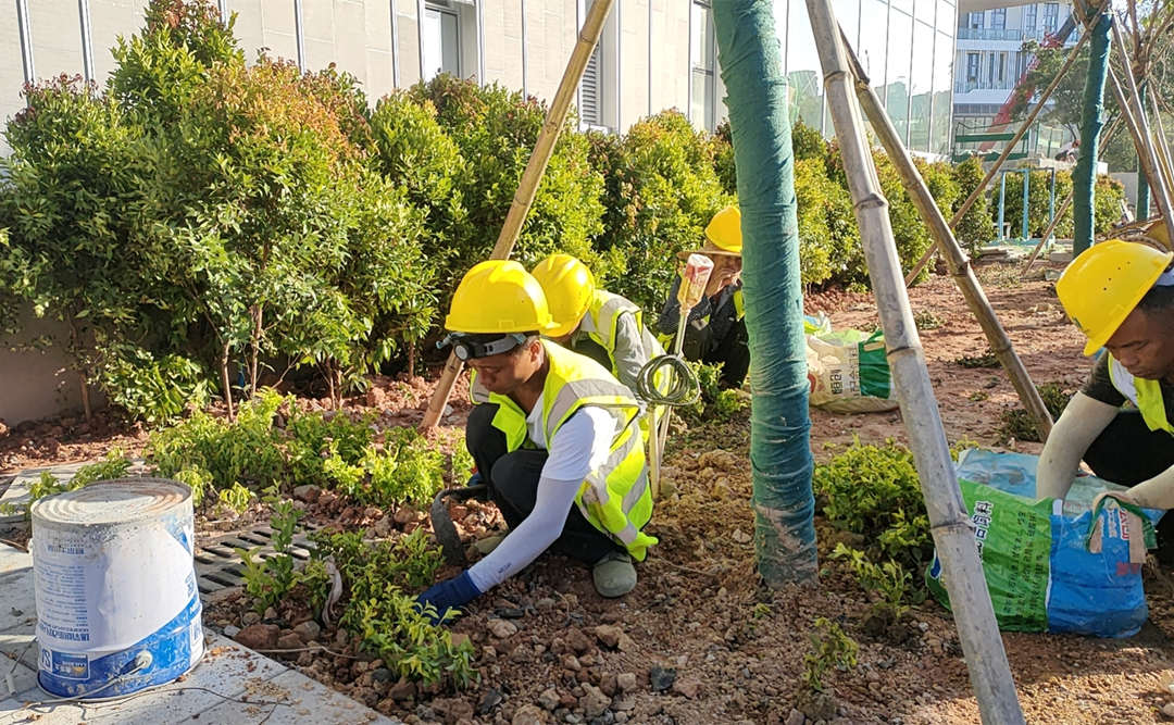 園林綠化工程施工種植