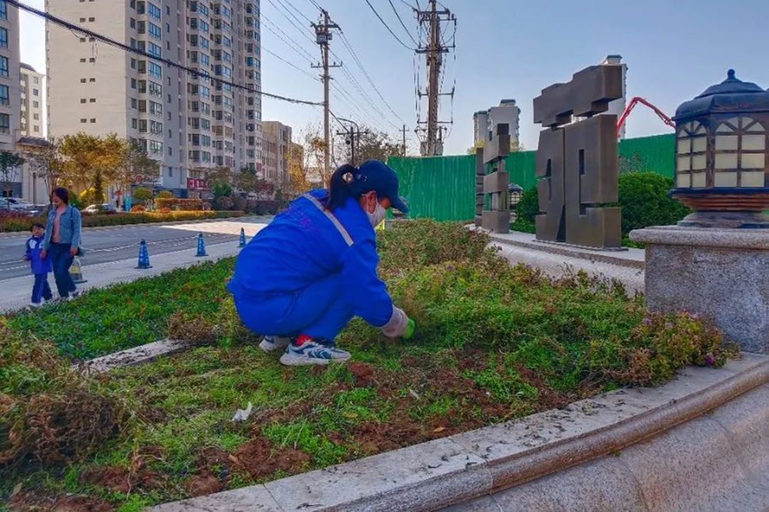 道路綠化養(yǎng)護